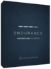 Endurance-SFX.png