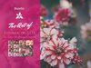 pretty-flower-preset-lightroom-bundle-.jpg