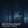 MOONLIGHT-LUT-PACK.jpg