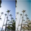 presets-micheli-fernandes-ilhabela-2-600x600.jpg