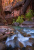 Field-to-Finished-Zion-Narrows-1500px.jpg