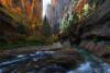 FallNarrows1WEB-S.jpg