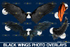 Realistic-black-angel-wings-photoshop-Graphics-4181434-8-580x387.png