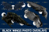 Realistic-black-angel-wings-photoshop-Graphics-4181434-9-580x387.png