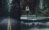 cinematic-dark-woods-lightroom-presets-4222322-01.jpg