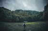 cinematic-dark-woods-lightroom-presets-4222322-3-01.jpg