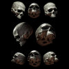 Billelis_White_Skull_1_Collected.jpg