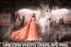 Unicorn-overlay-Flower-png-overlays-Graphics-4589933-1-1-580x387.png