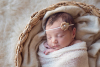 Newborn-Workshop_Coles-Classroom_Gallery_Image_4.jpg