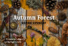 Autumn-Forest-Scene-Creator-Graphics-5622009-1-1-580x386.jpg