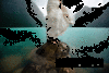 two-mann-punch-water.gif