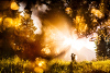 mixology-sunset-warmer-2.jpg