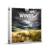 Winds-Of-Nature-QP-Nature-Ambience-Sounds-768x691.png