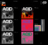 acid_preview_images.png