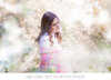 Kimla Designs White Orchard Photo Overlays.jpg