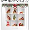 Ashe-Design-Box-Photography-Digital-Template-Christmas-Garland_1024x1024.jpg