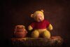 TN-Winnie-the-Pooh-copy-1-300x200.jpg