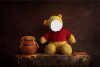 TN-2-Winnie-the-Pooh-copy-300x201.jpg