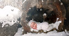 Aofie-NEW-Digital-Background_Snow-Log_WebAss_1200x648.png