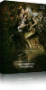the-romantic-collection-the-color-lab-278x550.jpg