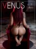 Venus Gallery - 13 2017_Page_001.jpg