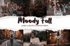 Moody Fall Lightroom Presets.jpg