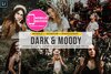 Dark and moody Lightroom Presets.jpg