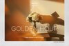 golden-hour-overlays-1.jpg