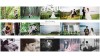 01-Kamin-Wedding-Collection-Set-1-Contact-Sheet.jpg