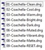 coachella contents.jpg