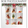 Ashe-Design-Box-Photography-Digital-Template-Christmas-Garland.jpg