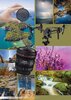 PCL - Landscape Photography Tricks and Tips - 13th Edition 2023_Page_006.jpg