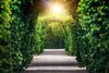 secret garden path thumb.jpg