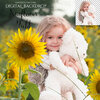 Ashe_Design_Digital_Backdrop_Sunflower_Field.jpg