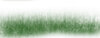 grass.jpg