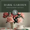 dark-garden.jpg