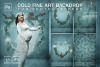 Winter-backdrop-Fine-Art-Textures-Graphics-52326506-1-1-580x387.png