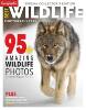 canadian-geographic-magazine-canadian-geographic-best-of-wildlife-photography-2023-cover.jpg