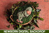 baby_born_newborn_digital_backdrops_photoshop_by_2suns1_dewhygv-pre[1].jpg