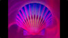 Psychedelic_Scallop_Shoot.mp4---30.32.680.jpg