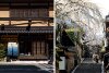 50-Things-eBooks-Ben-Richards-Japan-Tokyo-Kyoto-7.jpg