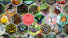 Butterflies-03-Collage-Template.jpg