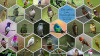 Hummingbirds-Collage-01-Template.jpg