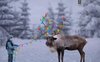 reindeer.JPG