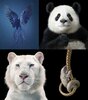 tim-flach-790x900.jpg