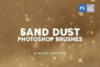 Photoshop Brush - Sand Dust.png