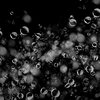 Photoshop Overlay - Water Drops (3).jpg