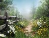 country trail by fence_7_3.jpg