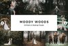 sparklestock moody woods.jpg