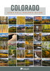 Colorado Falls Colors Guide - Photographers Trail Guides.jpg